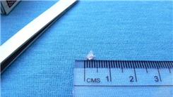 Smallest Origami Crane