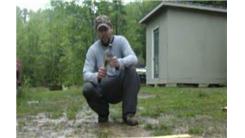 Farthest Distance To Throw A Dove Decoy