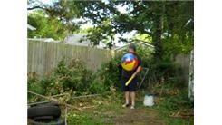 Most Consecutive Bounces Of A Beach Ball On A Plastic Baseball Bat