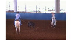 Fastest Rodeo Team Roping Run