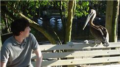 Most Birds Sitting On A Bench With A Human