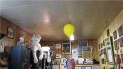 Longest Time To Balance A Stick Balloon On Forehead