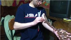 Most Pennies Placed On An Arm