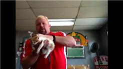 Most Kittens Held In One Hand