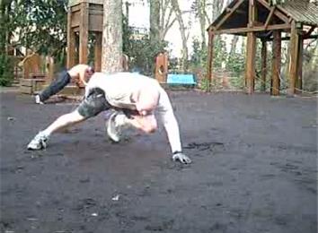 Most One-Armed 360-Degree Push-Ups