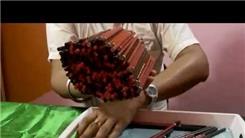 Most Pencils Held In Hand