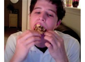 Most Animal Crackers Fit In Open Mouth