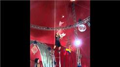 Most Clubs Juggled While Balancing On An Unsupported Ladder
