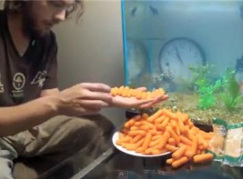 Most Baby Carrots Held In Hand At Once