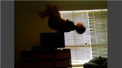 Most Consecutive Back Flips