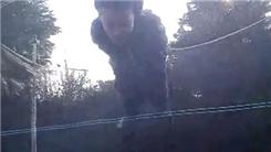 Most Consecutive Trampoline Back Flips With Hands Behind Back