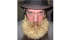Largest Toothpick Beard
