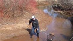 Most Smelt Caught And Balanced In One Scoop
