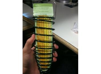 Largest Corn Holder Squirrel Feeder Collection