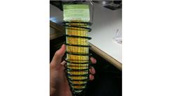 Largest Corn Holder Squirrel Feeder Collection