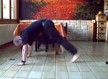 Most Alternating Squat Thrusts In One Minute