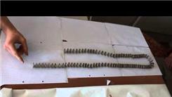 Longest Coin Domino Chain