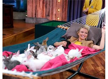 Most Bunnies Snuggled With In A Hammock