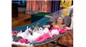 Most Bunnies Snuggled With In A Hammock