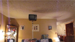 Longest Time To Balance 13-Inch TV On Chin
