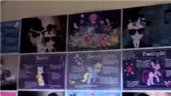 Most Posters On The Walls Of A Bedroom
