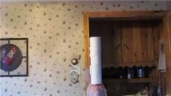 Longest Time Balancing Five Toilet Paper Rolls On Forehead