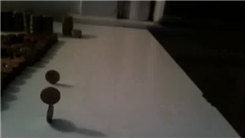 Most Coins Stacked On Edge Crossways 
