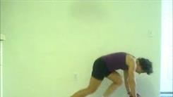 Most Leaping Mountain Climber Exercises On Two Medicine Balls In Five Minutes