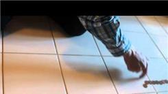 Most Five Cent Coins Flicked In 10 Seconds