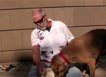 Most Bambas Fed To A Dog