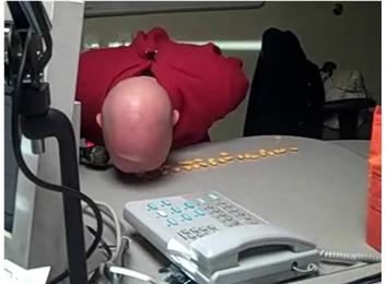 Most Goldfish Crackers Chicken Pecked Off A Table In One Minute