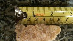 Longest Frosted Flake