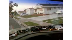 Most Pairs Of Sunglasses On A Car Dashboard