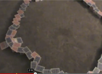 Widest Single Ribbon Side-Suported Circle Spread