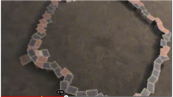 Widest Single Ribbon Side-Suported Circle Spread