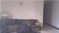 Fastest Time To Do Five Jumping Reverse Ridge Hand Push-Ups