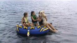 Longest Tube Ride By A Maltipoo