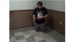 Most Consecutive Table Tennis Ball Bounces While On Knees