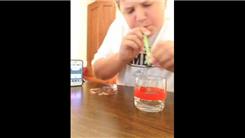 Most Pennies Picked Up With A Pop Straw In One Minute