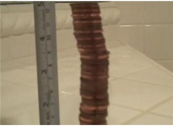 Tallest Penny Tower
