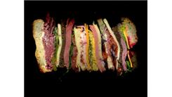 Most Toppings On A Scanned Sandwich