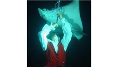 Longest Sword Swallowed In Shark Infested Water