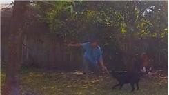 Longest Tug-Of-War With A Dog While Standing On A Slackline