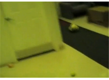 Longest Tennis Ball Putt Into A Door