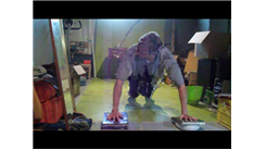 Most Push-Ups On Inflated Balloons 