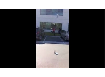 Longest Printer Shotput