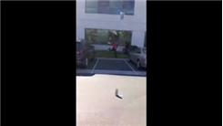 Longest Printer Shotput