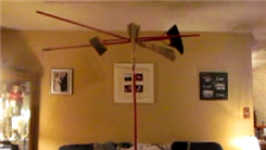 Longest Time To Balance Four Brooms On Chin
