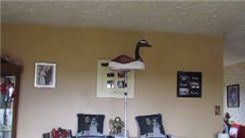 Longest Time To Balance A Wooden Goose On Forehead