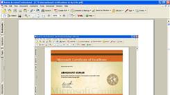 Most International Certificates Received